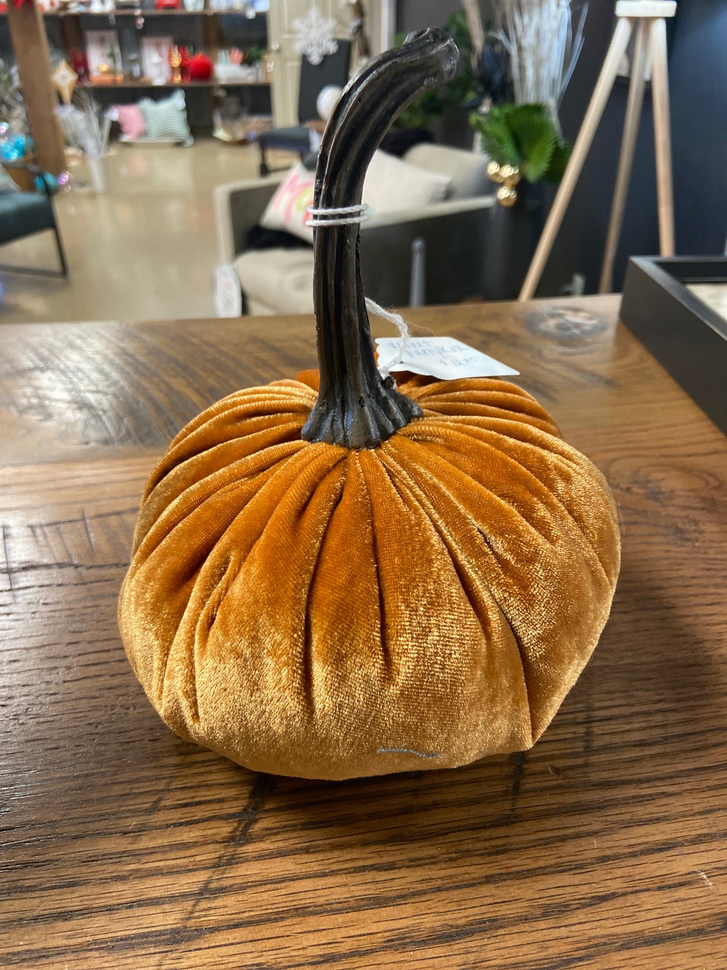 Velvet Pumpkin