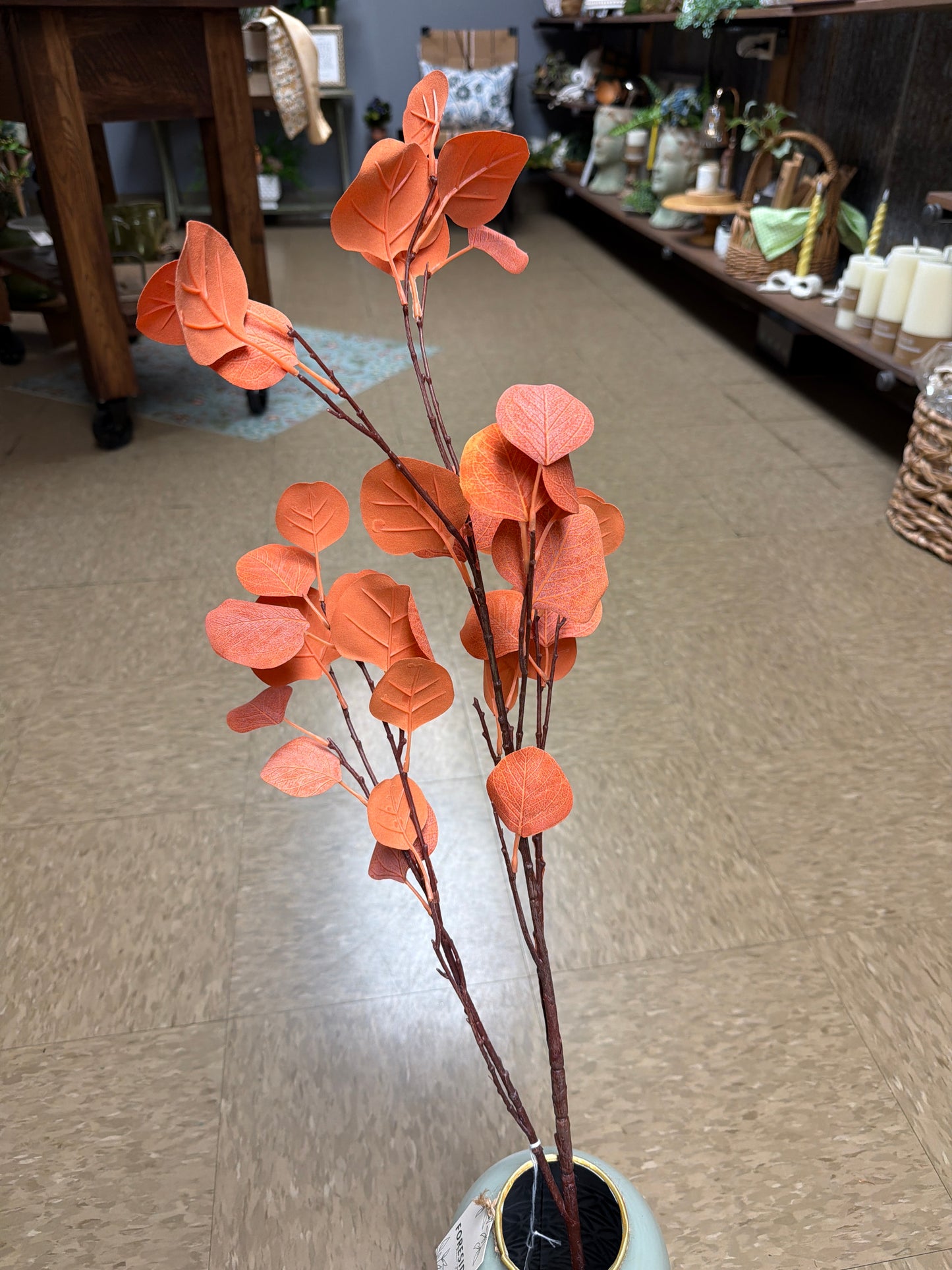 Fall Stem