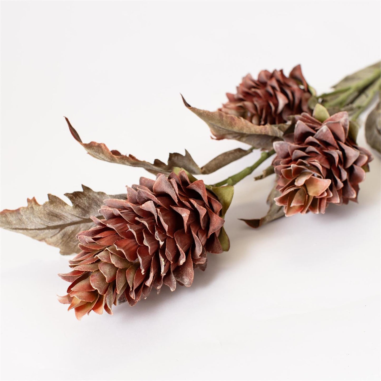 Mini Dried Look Protea Stem