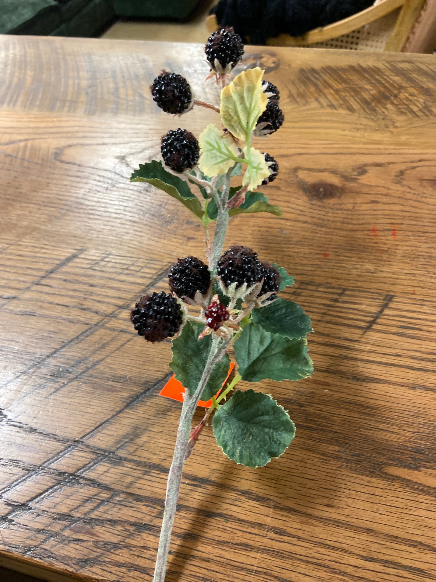 Pick - Black Raspberry Pick