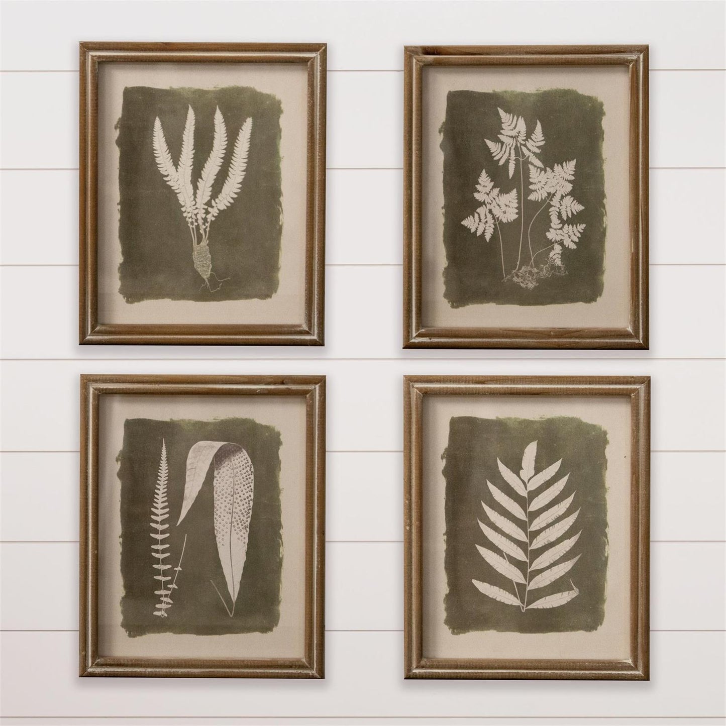 Framed Print Green Leaf Silhouette