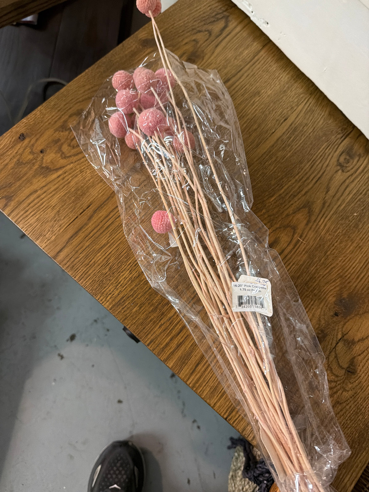 734205758809 16-20" Pink Craspedia 1.75 Oz Bunch