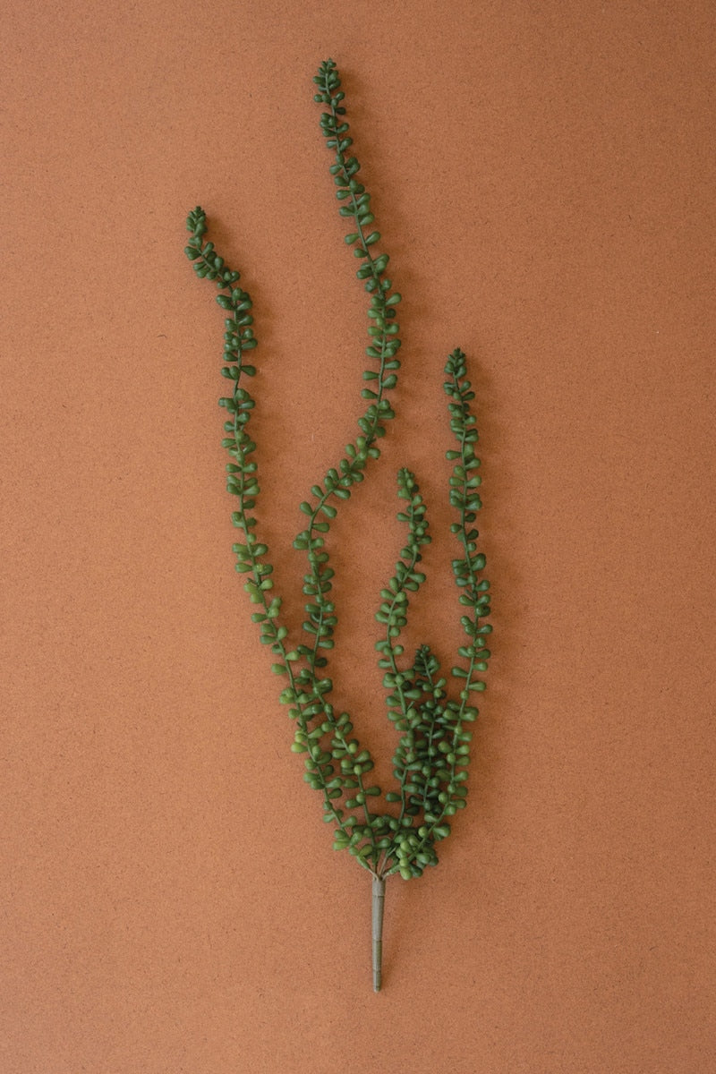 Artificial Necklace Fern Succulent