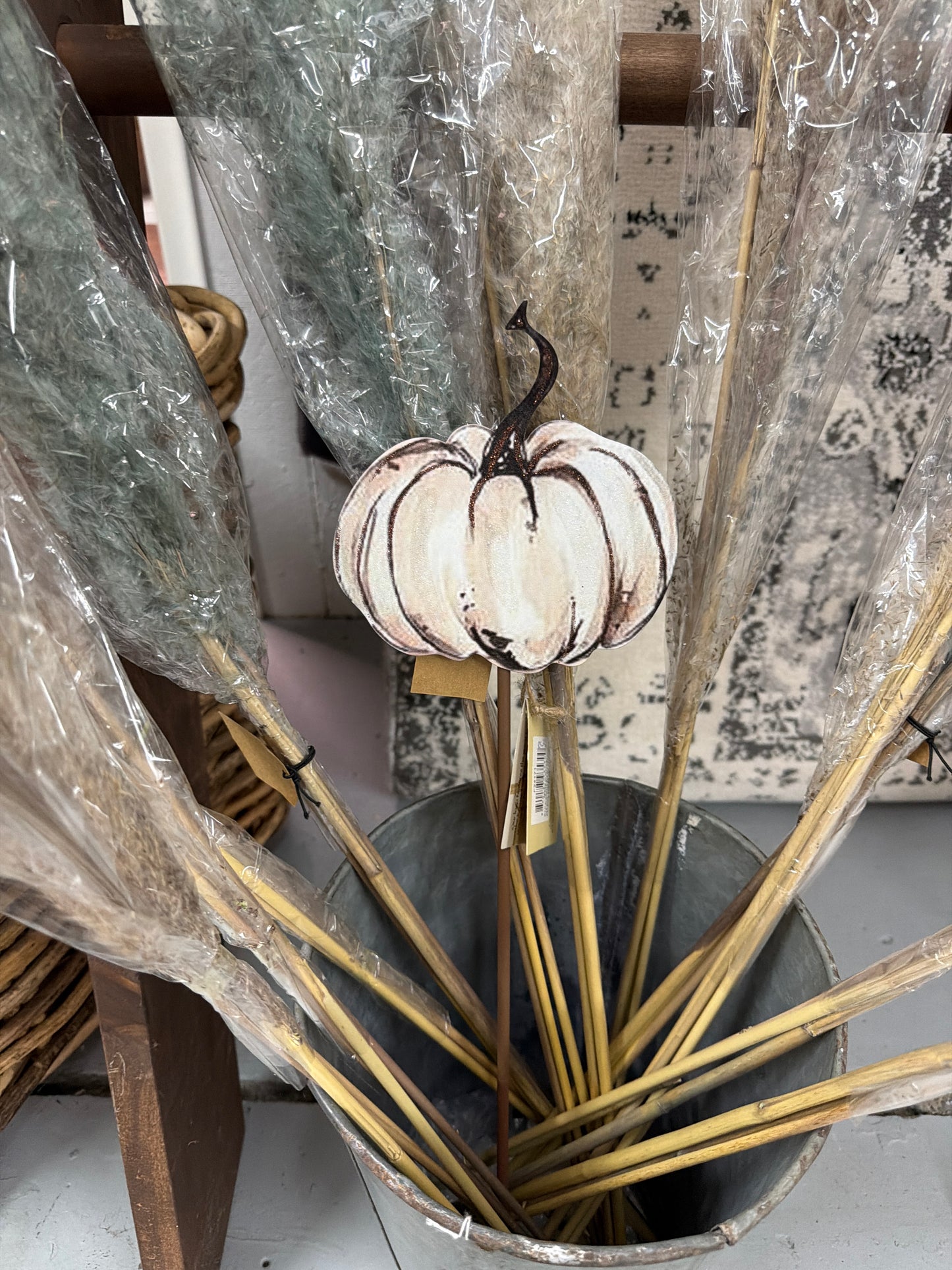F24171 Neutral mini pumpkin's