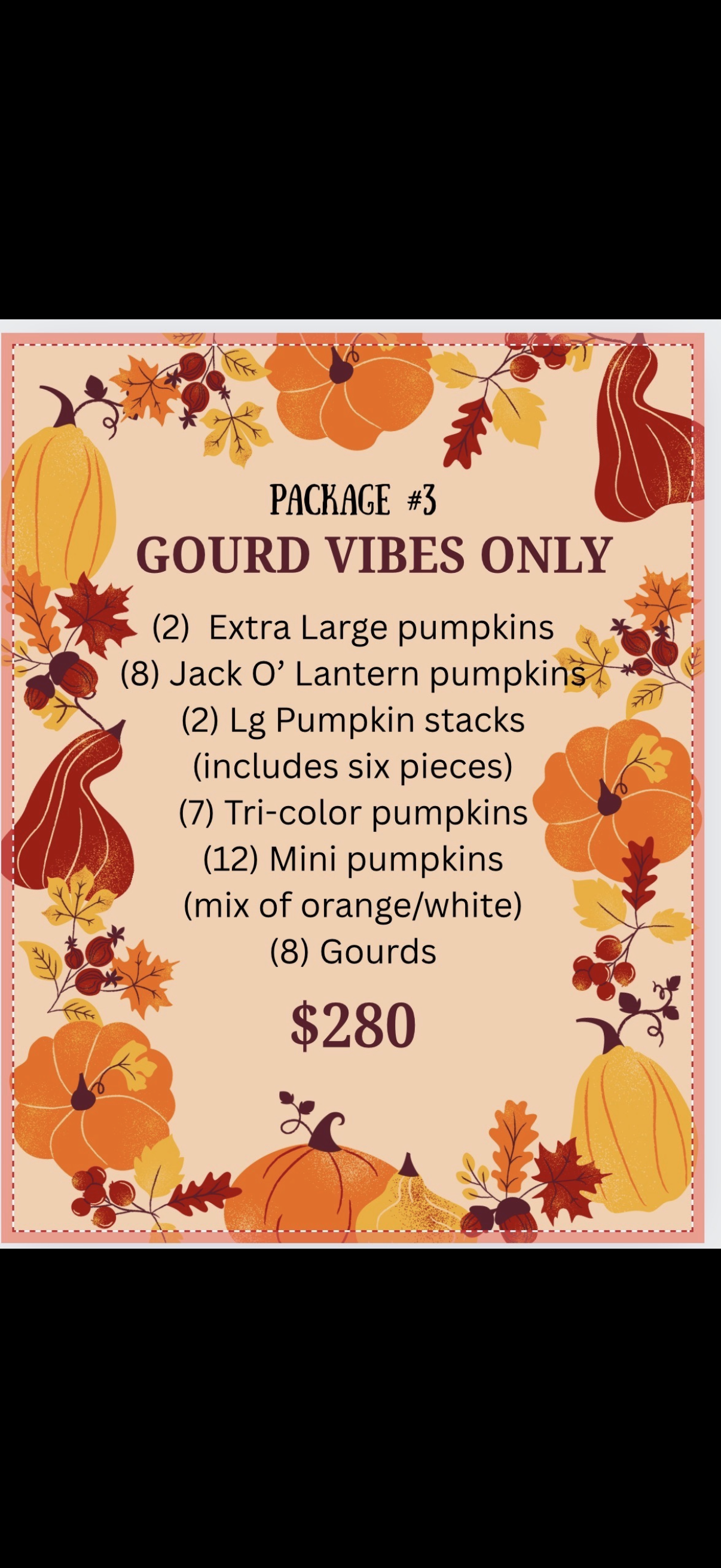 Fall Porch Package #3 Gourd Vibes Only