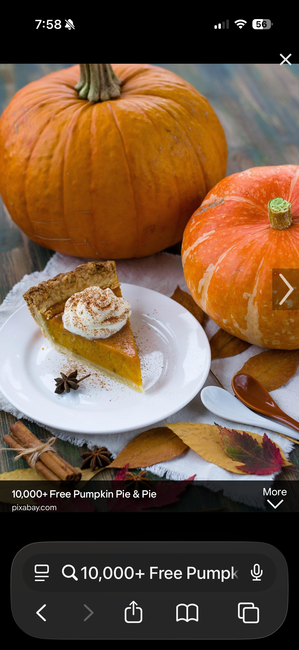 Pie Pumpkin