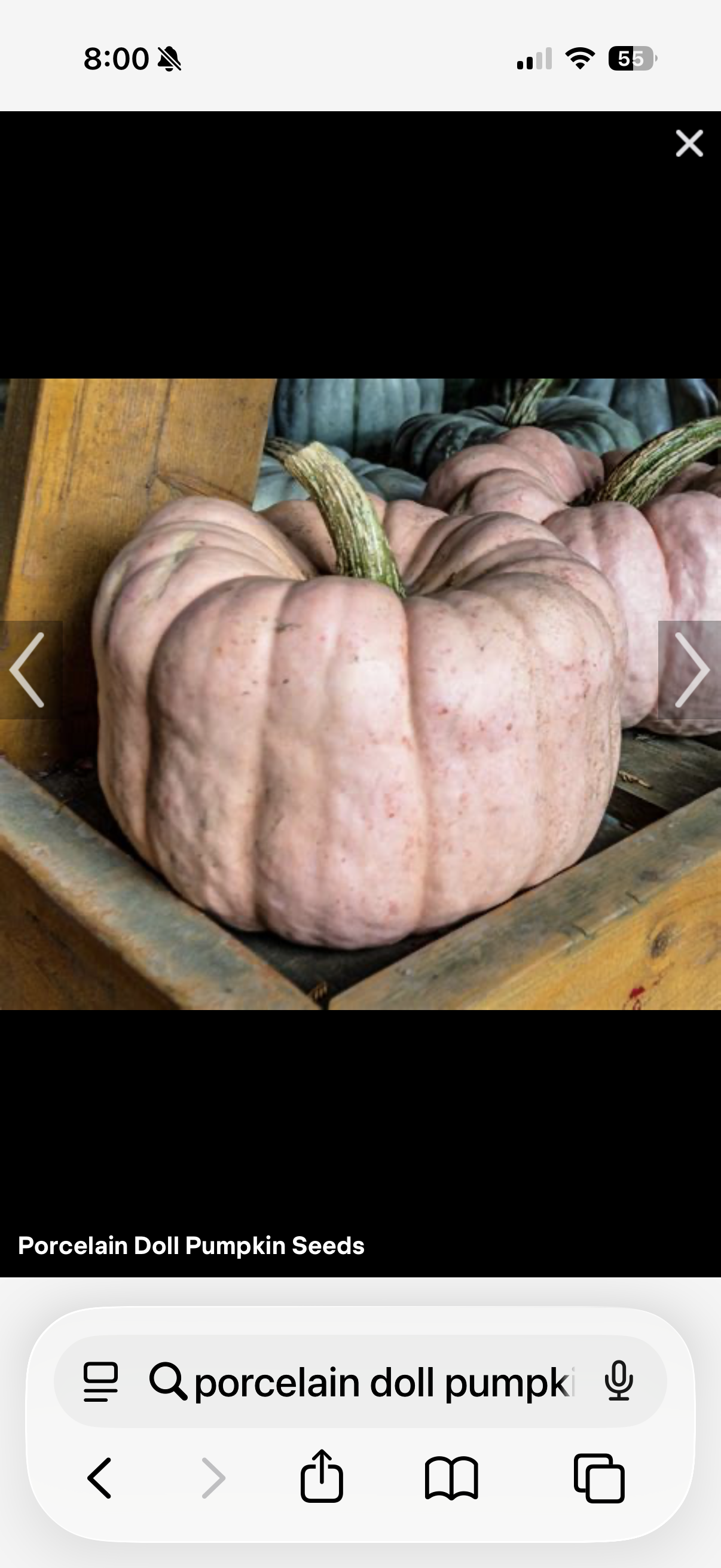 Porcelain Doll Pumpkin