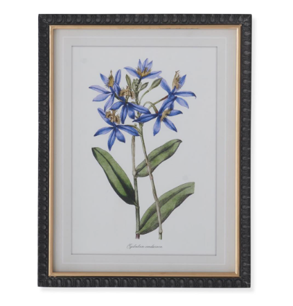 17.75" Black and Gold Framed Blue Botanical Print (25)