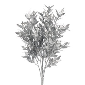 6 16" Ruscus Silver