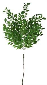 Green Nandina Leaf Spray. (25)