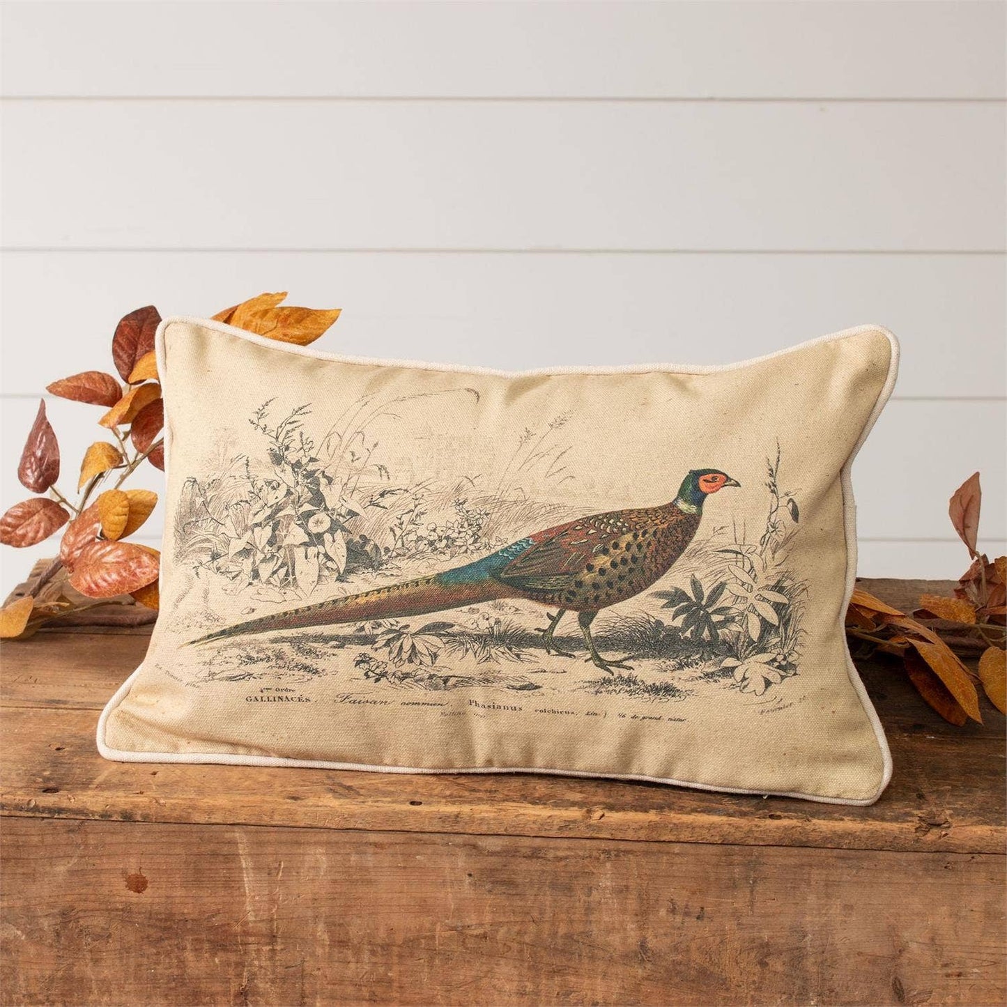 6 Vintage Pheasant Lumbar Pillow (25)