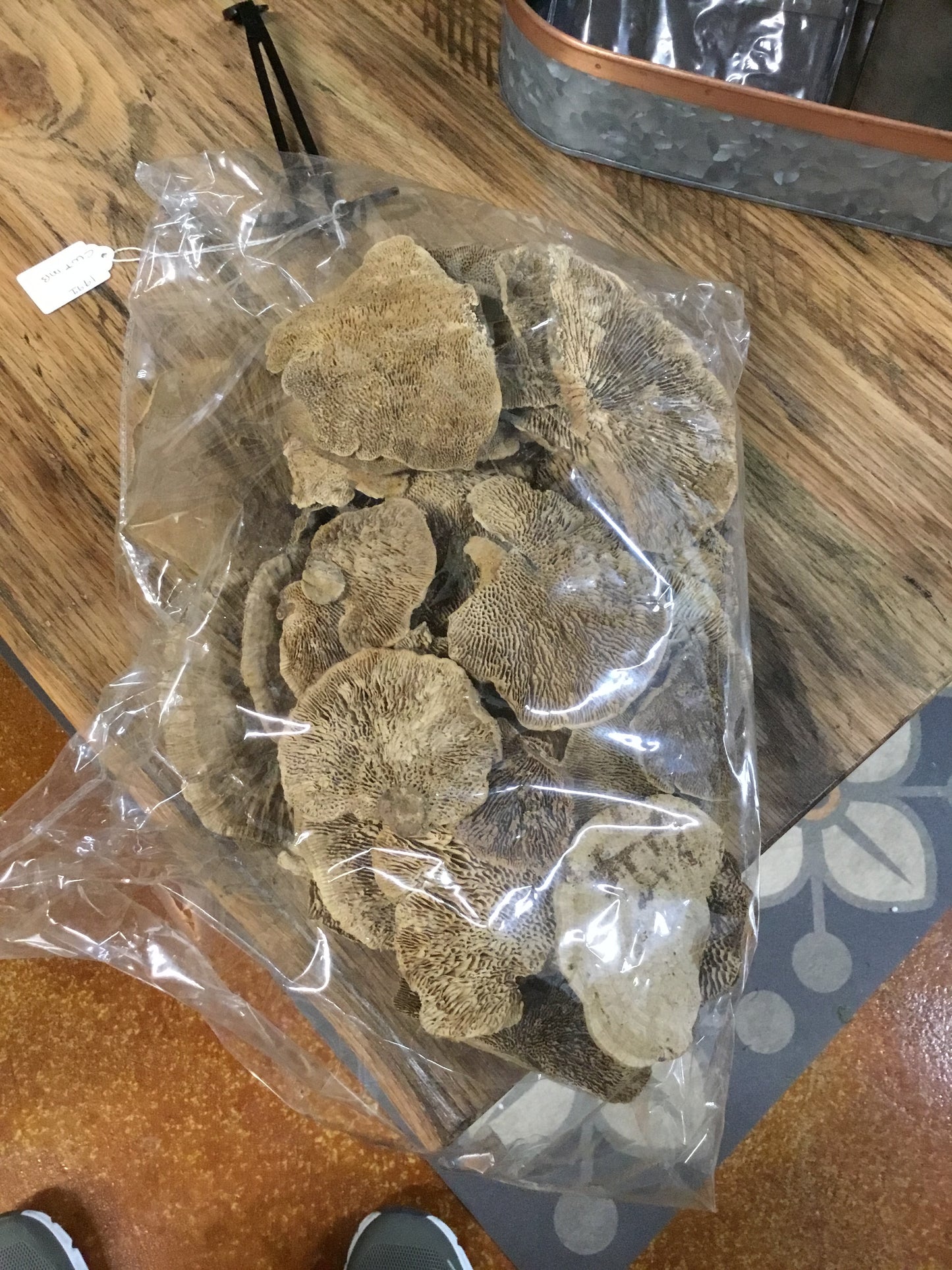 NGLB1033 Dried Mushrooms Bag
