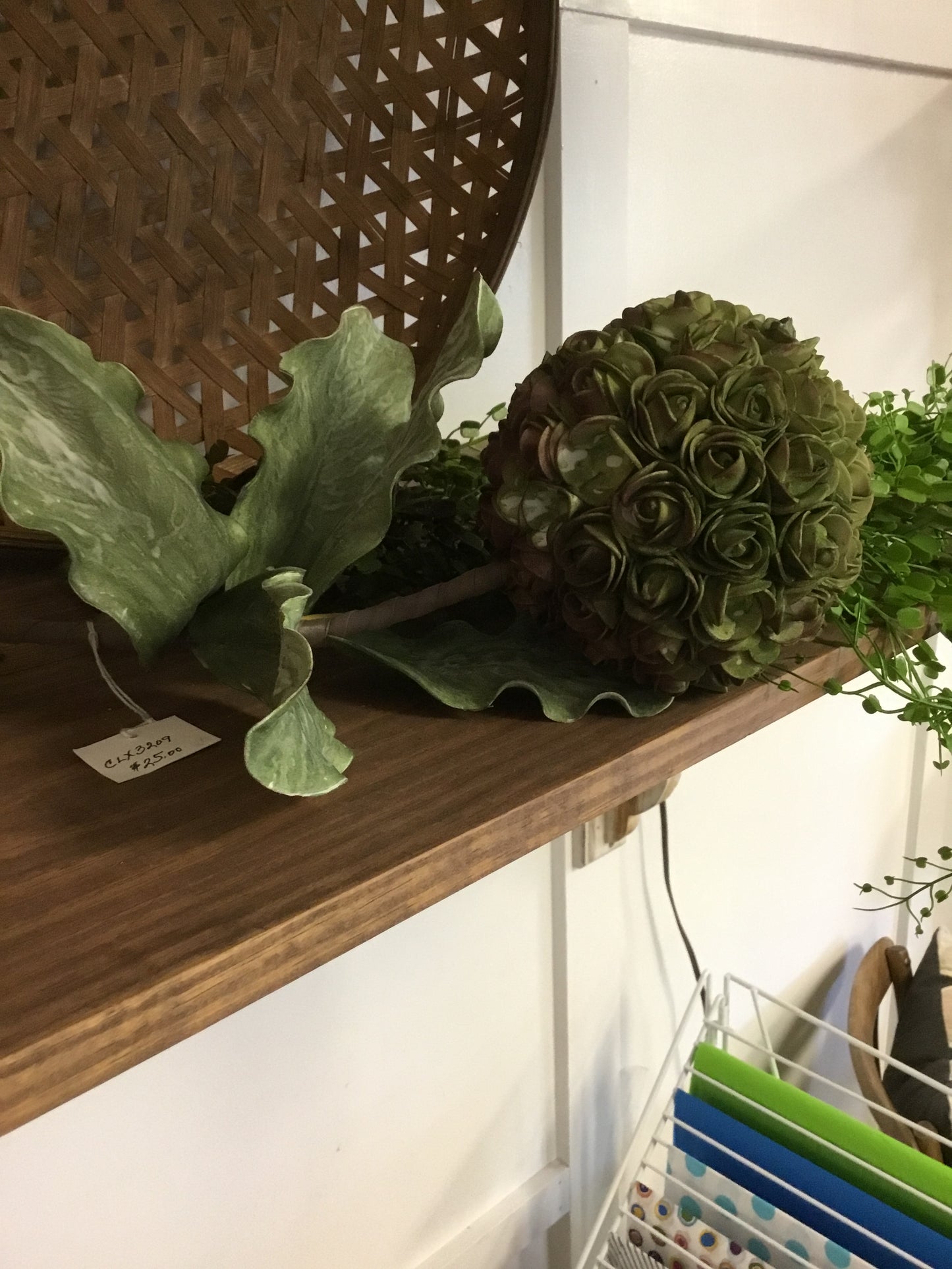 CLX3209 Botanica Kakalou