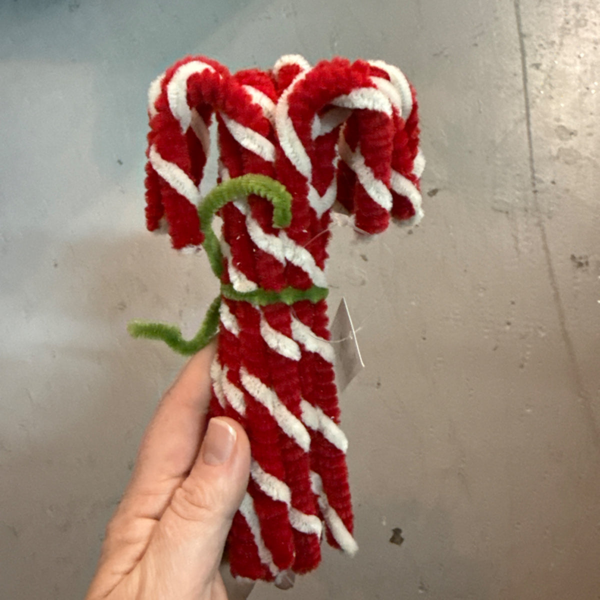 6 XA080201 Pipe Cleaner Candy Cane Bundle
