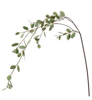 Seeded Eucalyptus Long Branch 46" (25)