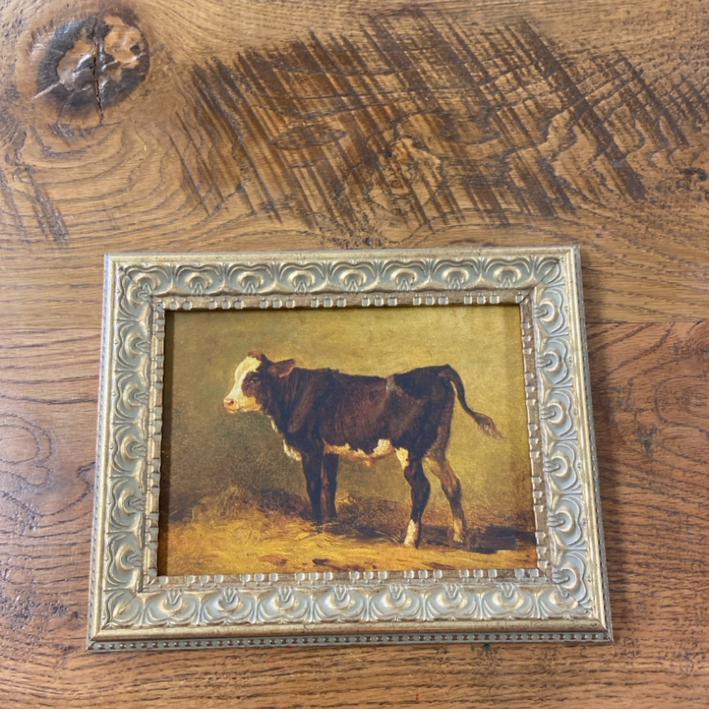 6 Vintage Calf