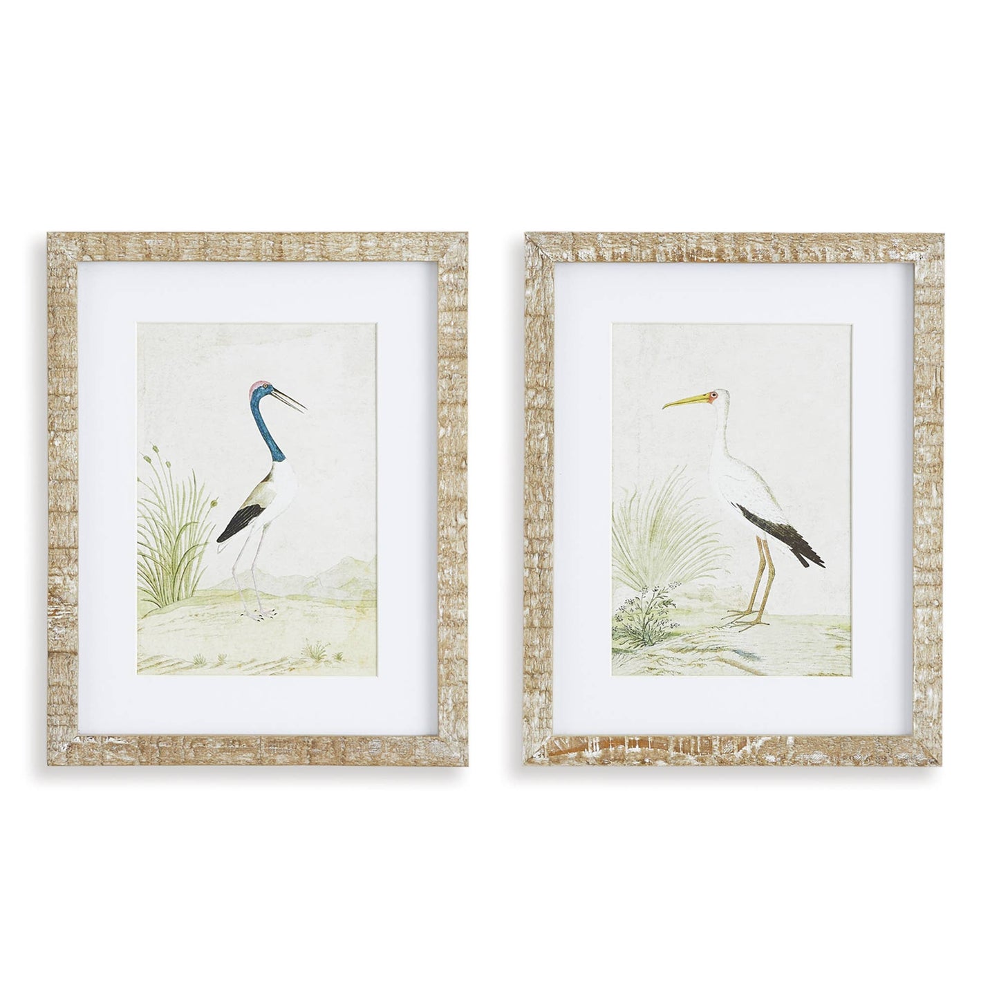 NNH543 Wading Bird Print