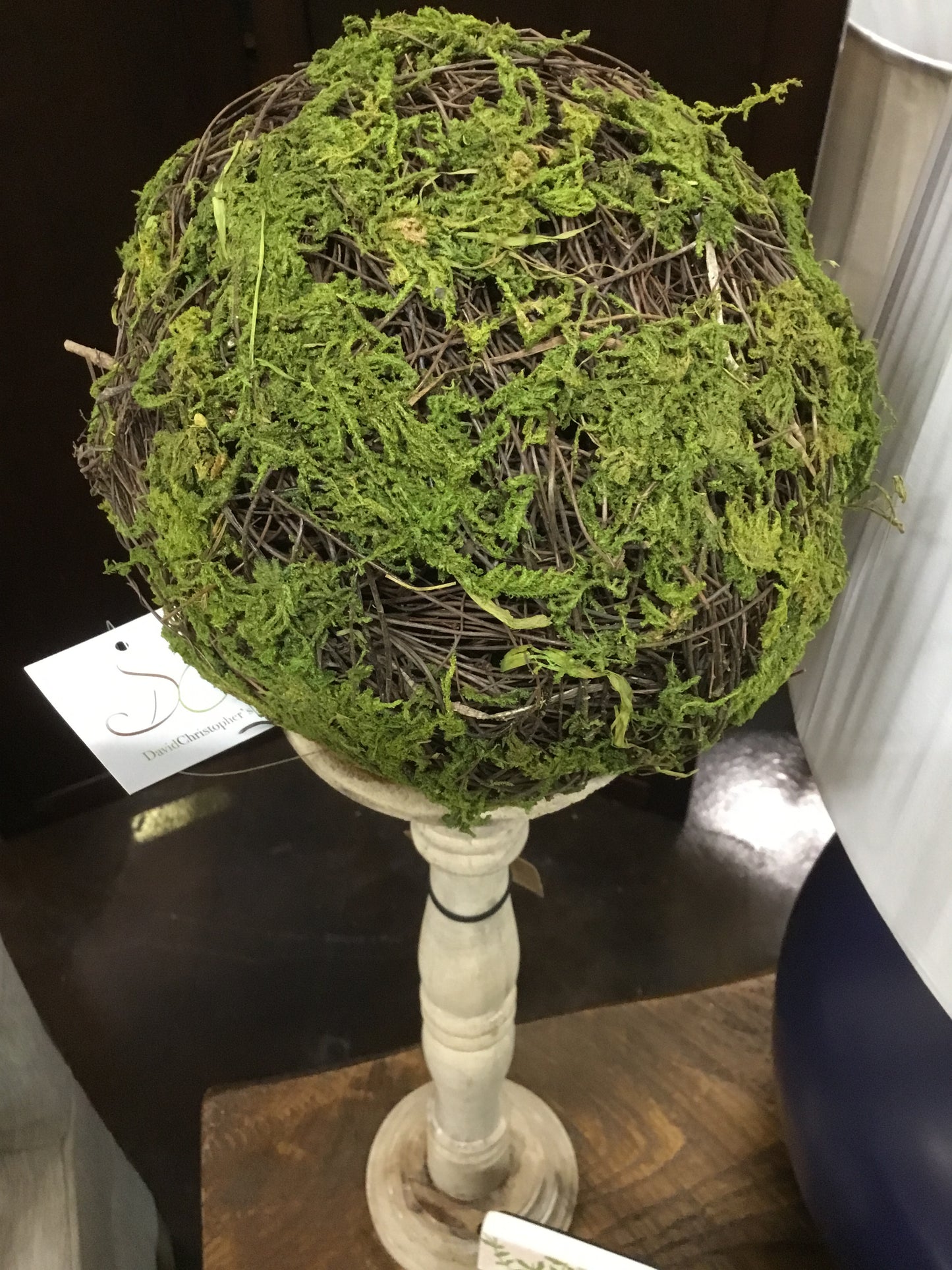 DC20946-FA 6" Mossed Angel Vine Orb