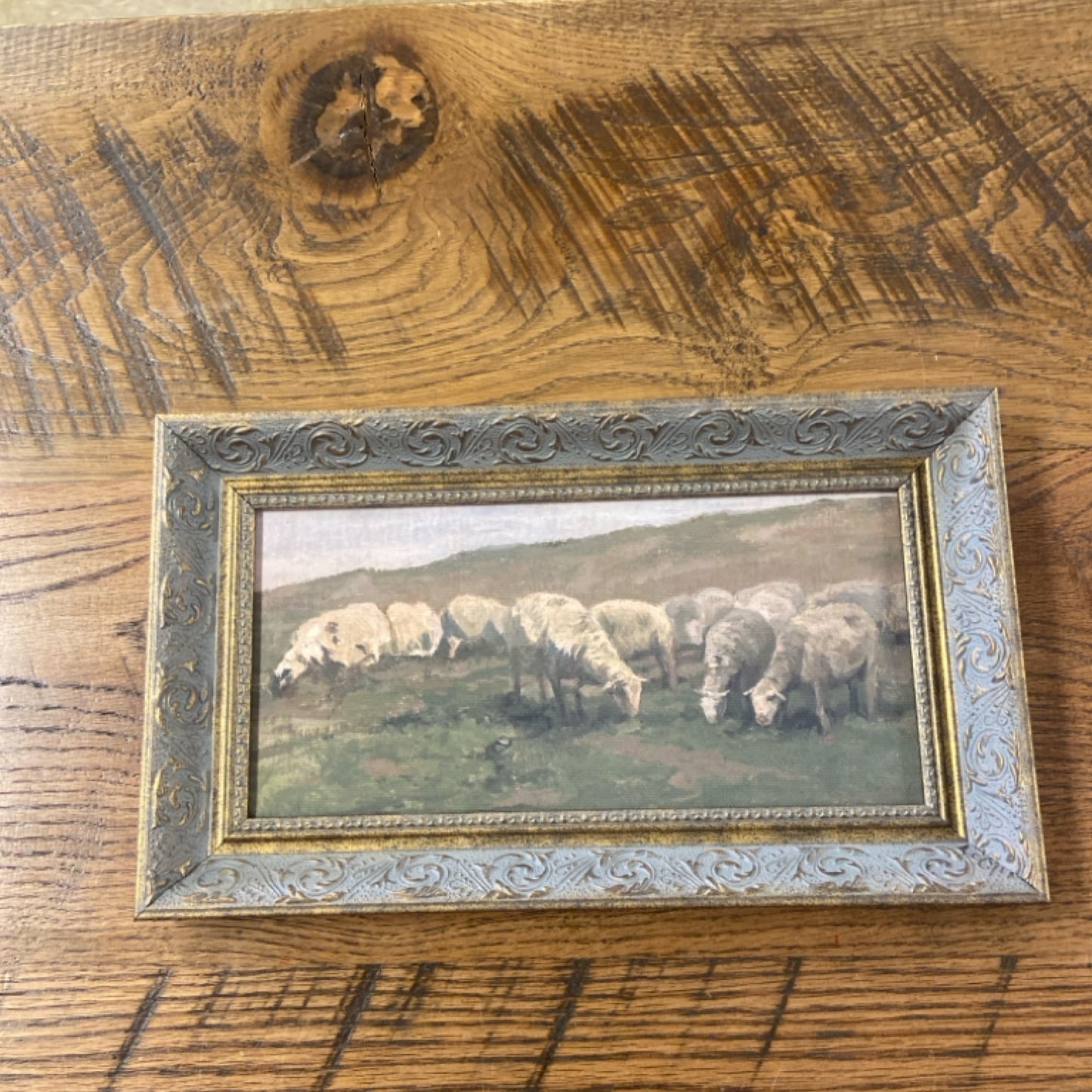 6 Sheep Landscape