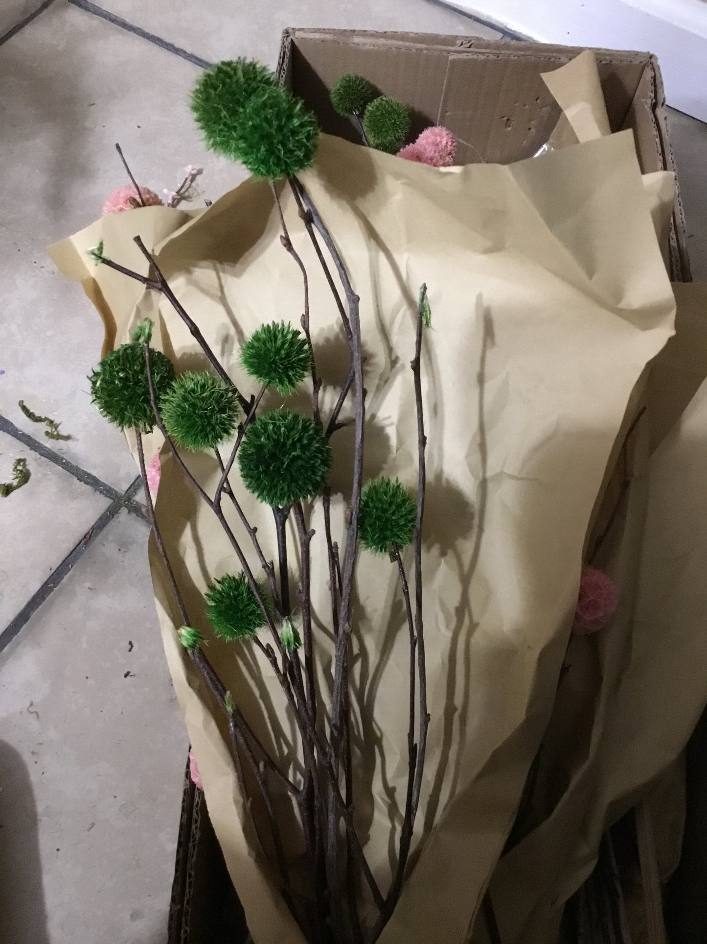 XS1202-CC Dried Globe Thistle