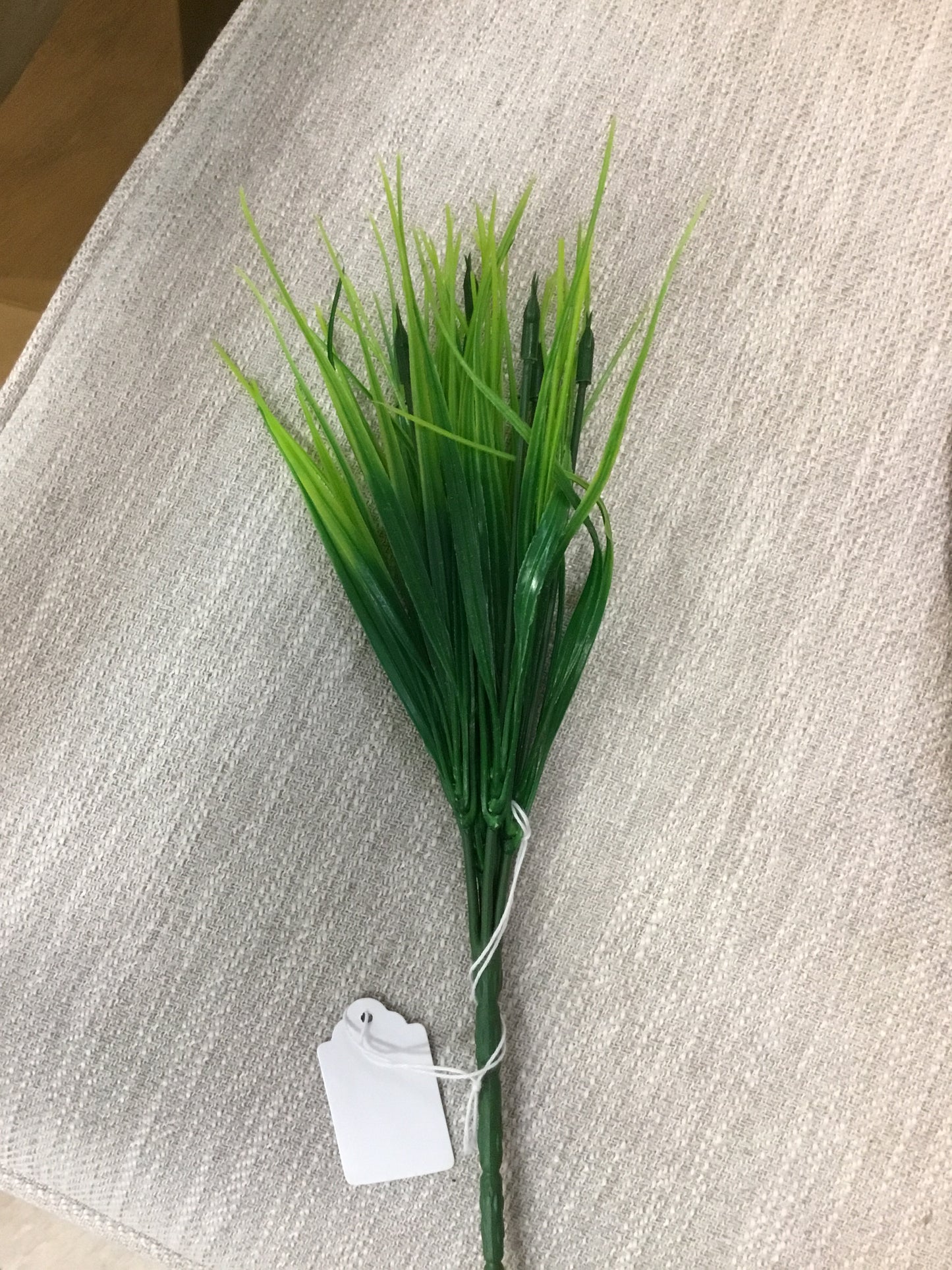 X0021 Am Green Grass Stem