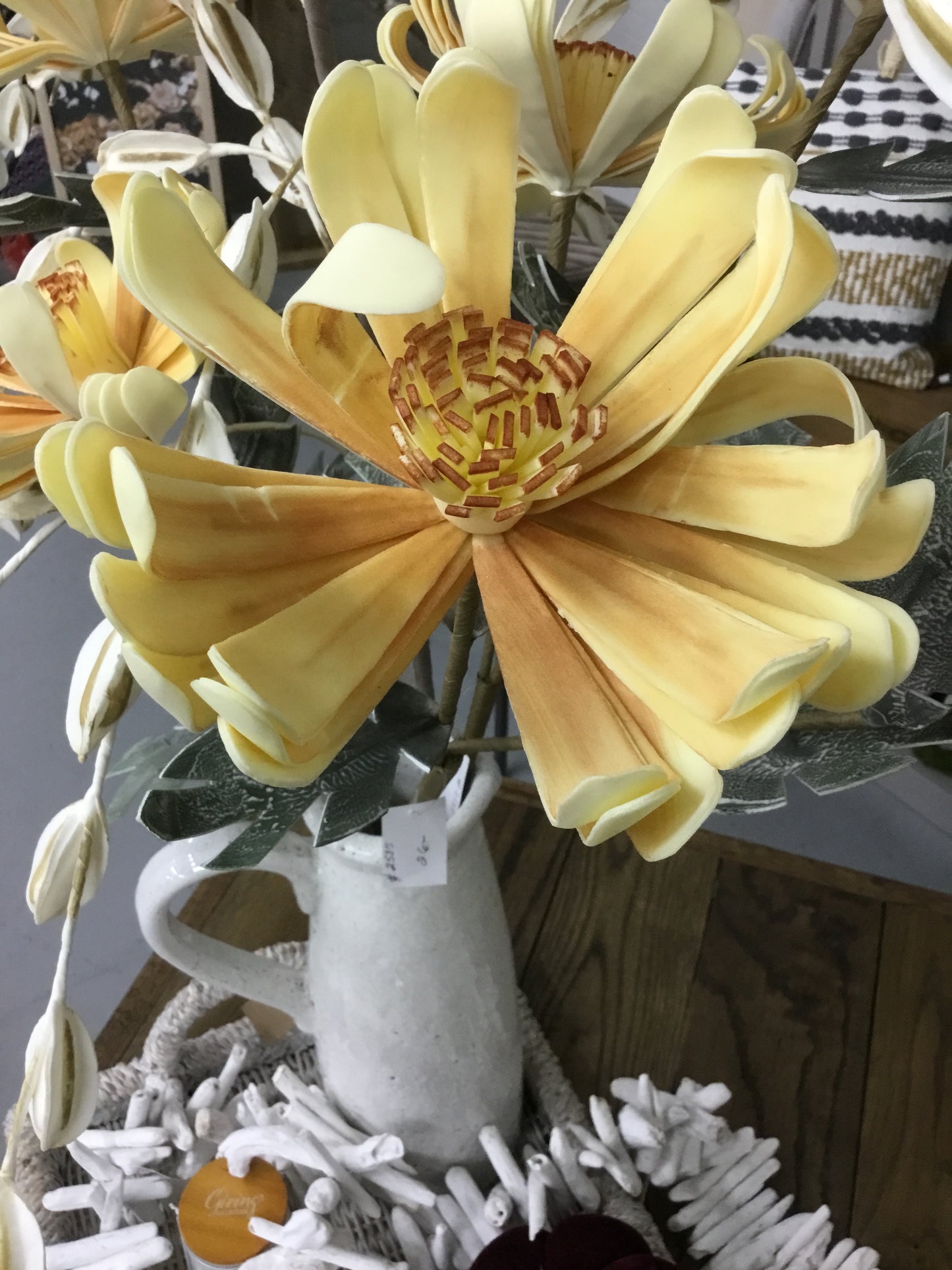 CSL2535-KAL Botanica