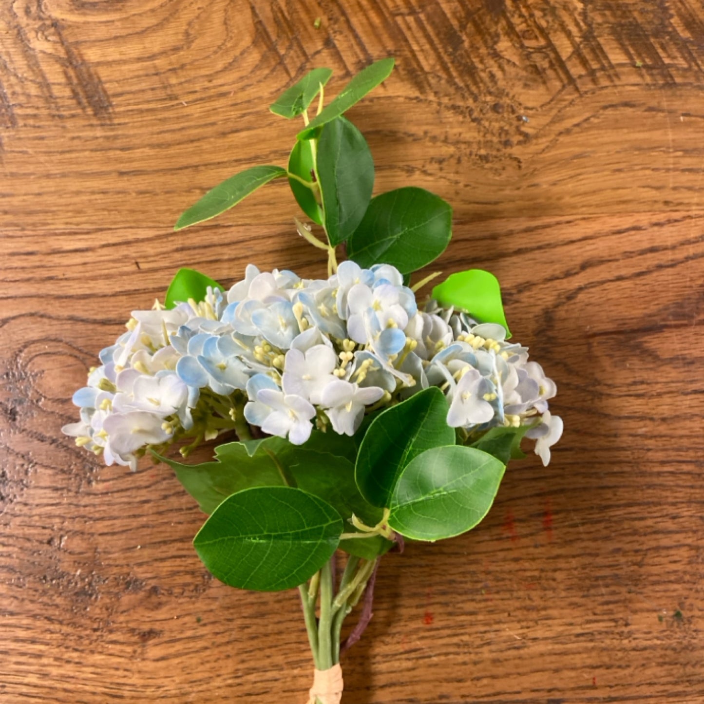 6 F5-7624 blue virburnum bundle