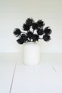 Botanica (25)