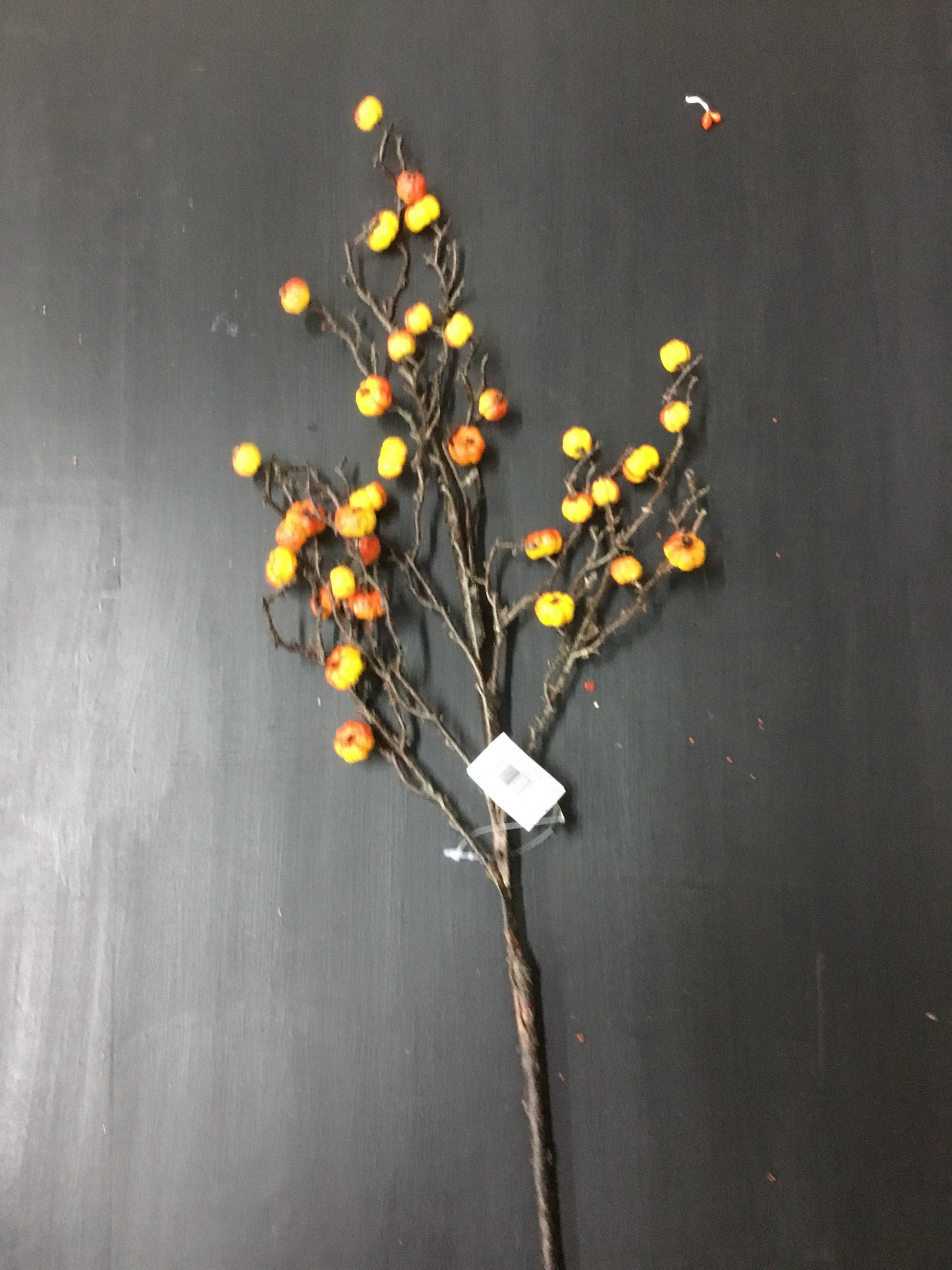 40370A-Or-Kk Orange Mini Pumpkin Stem