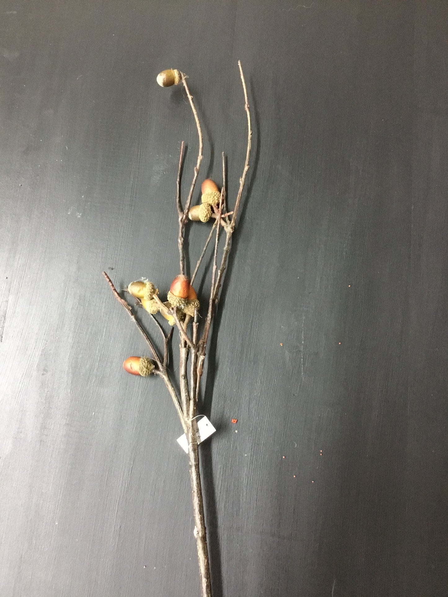 Fby80015-Phc Acorn Branches