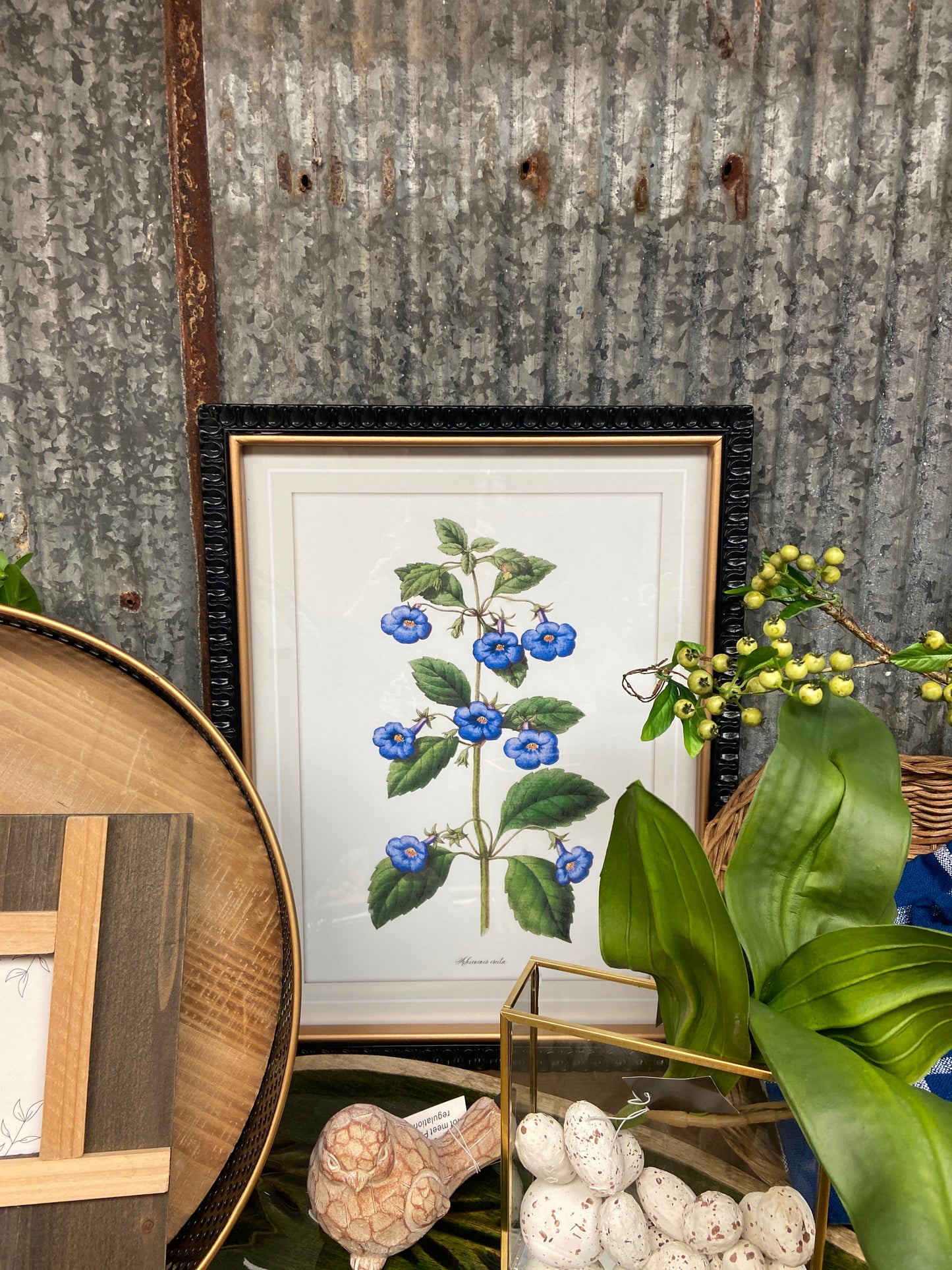 19362 17.75" Black and Gold Framed Blue Botanical Prints (25)