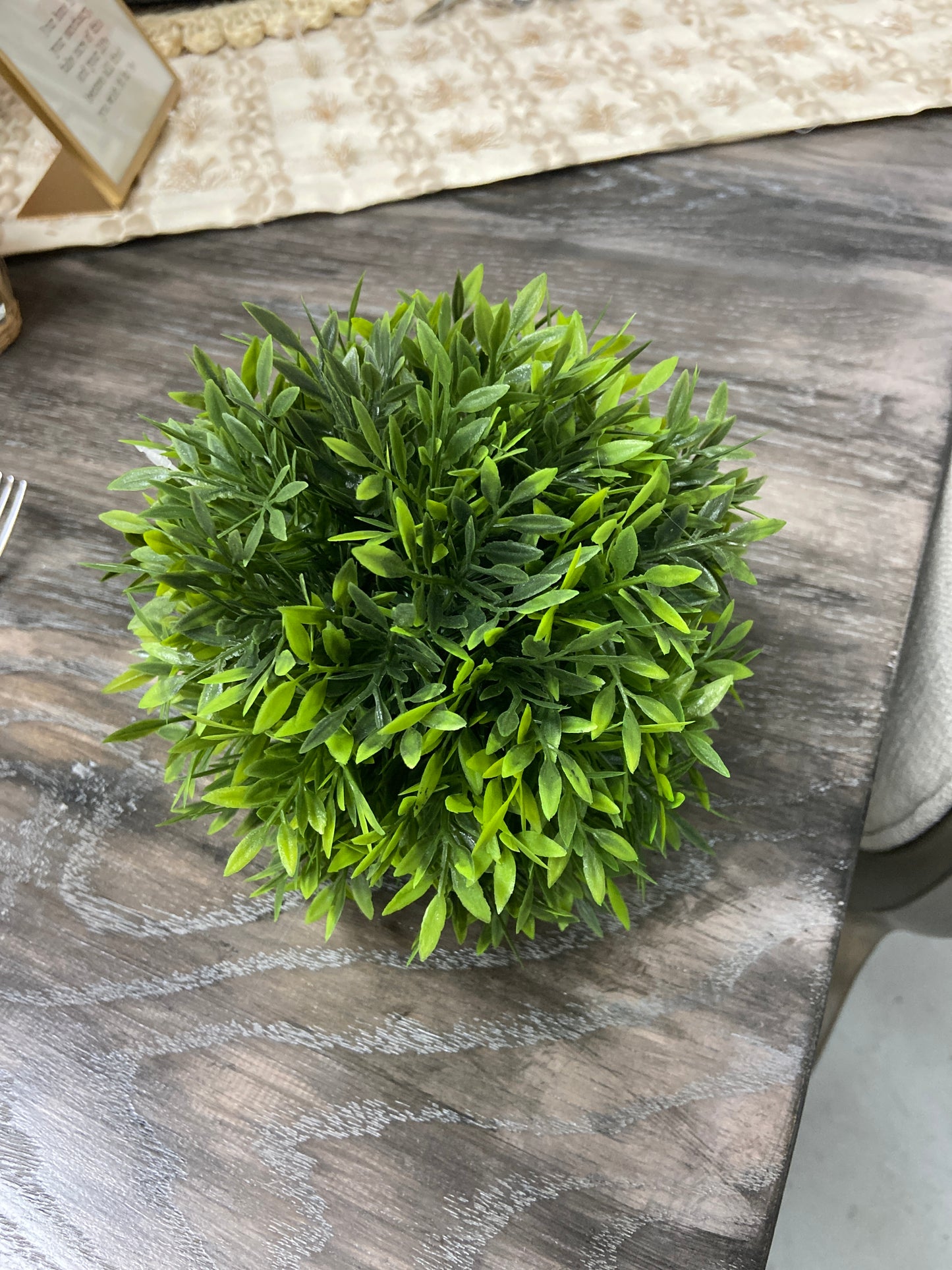 10103B 8" Podocarpus Ball