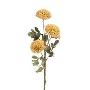 Cream 25" Dahlia x 4. 25