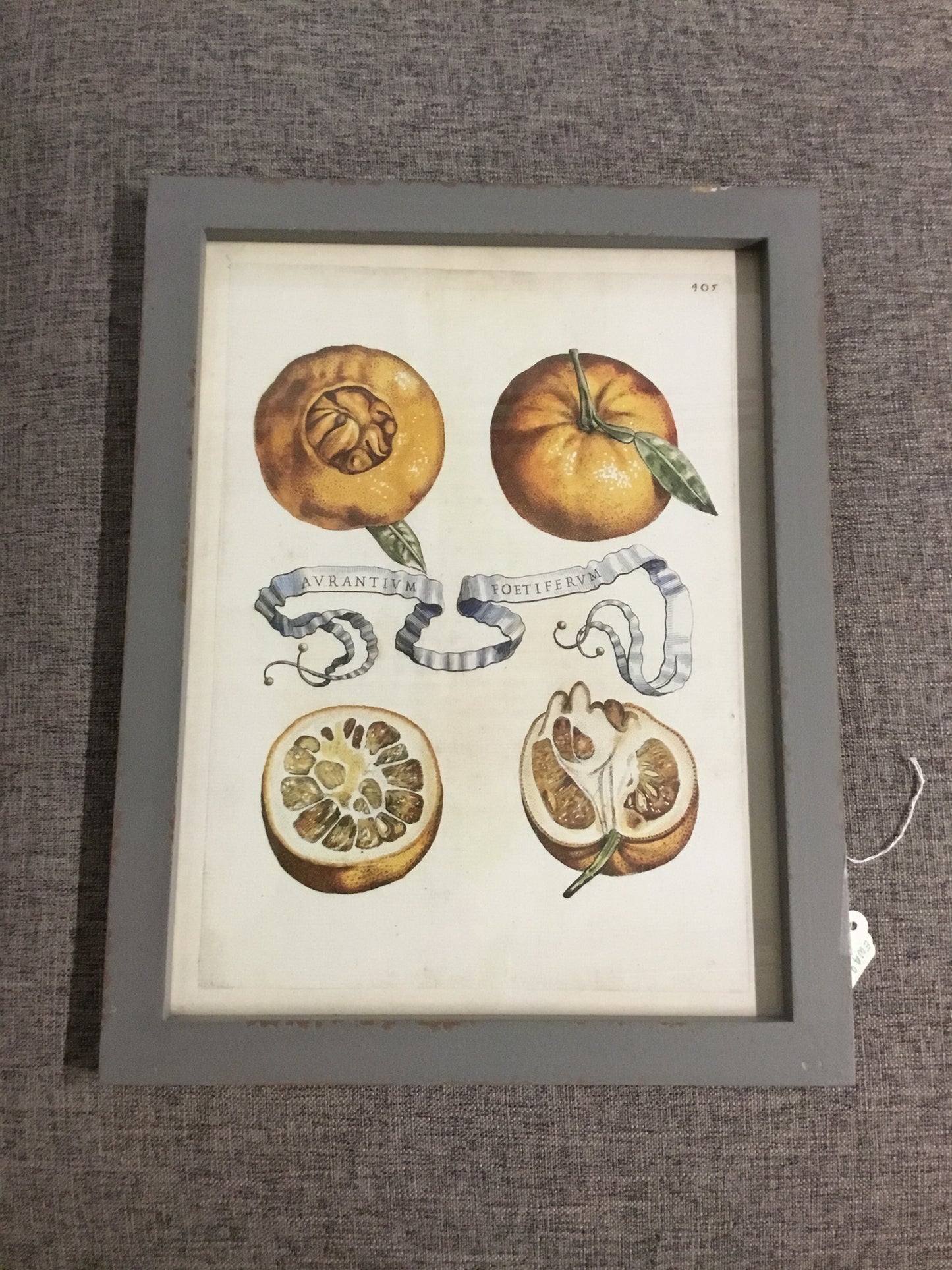 Ewa90020-Phc Framed Citrus And Ribbon Print