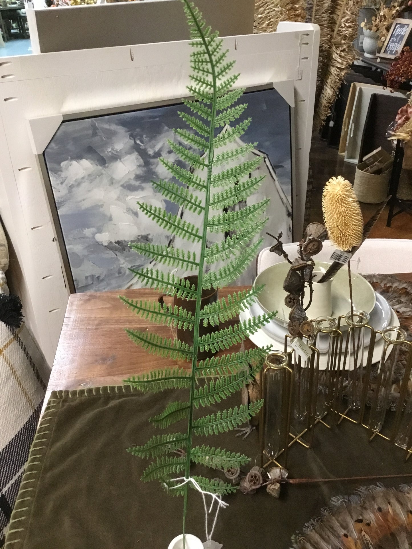 X001kwu Fern Stem