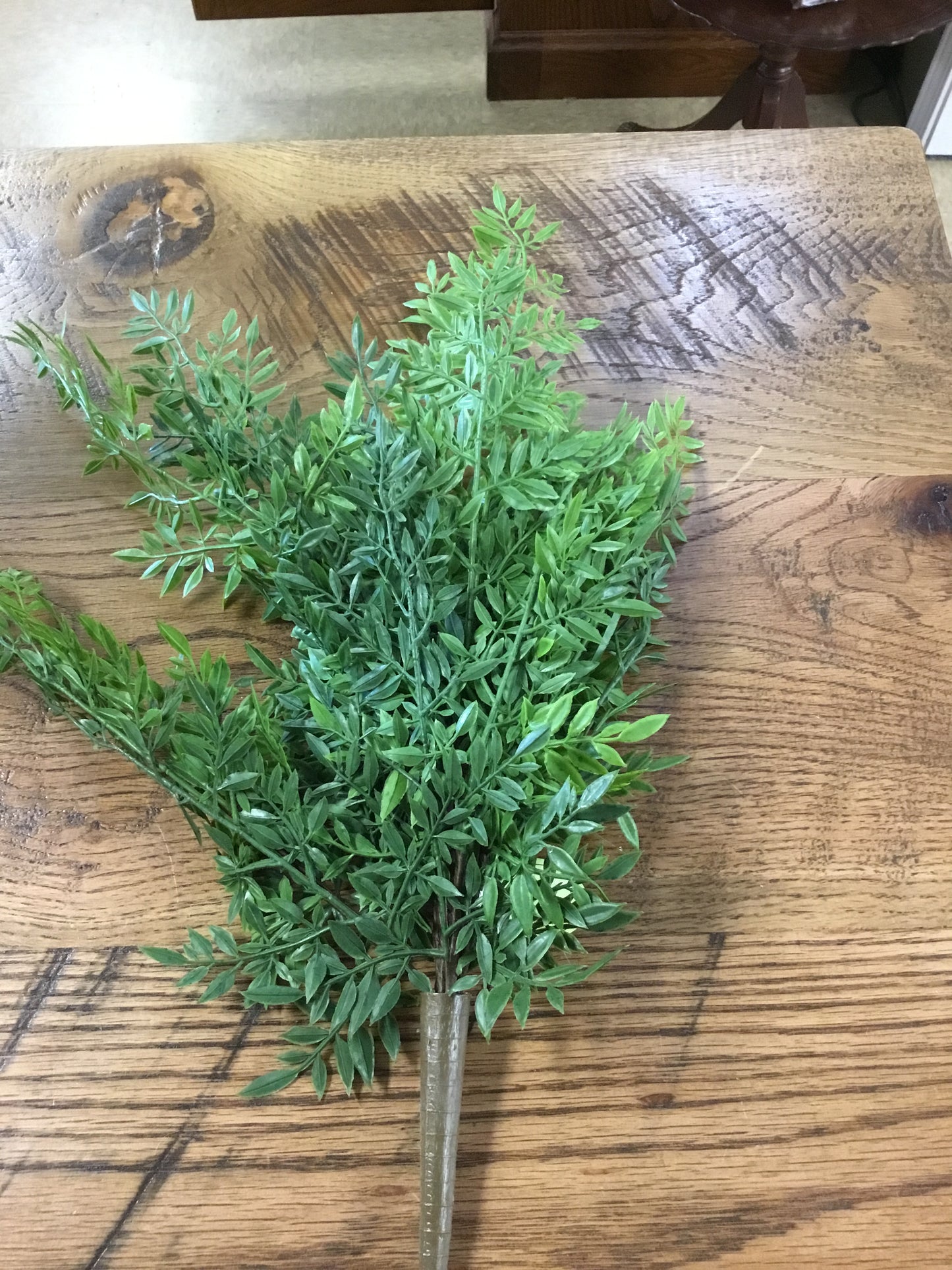 Dc20923gr Fern Bush