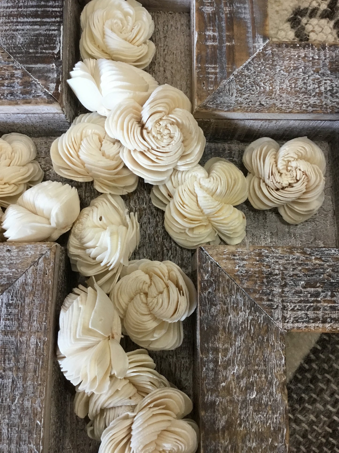 Ntrp1020-Kal Bag Of 16 Dried Shell Flowers
