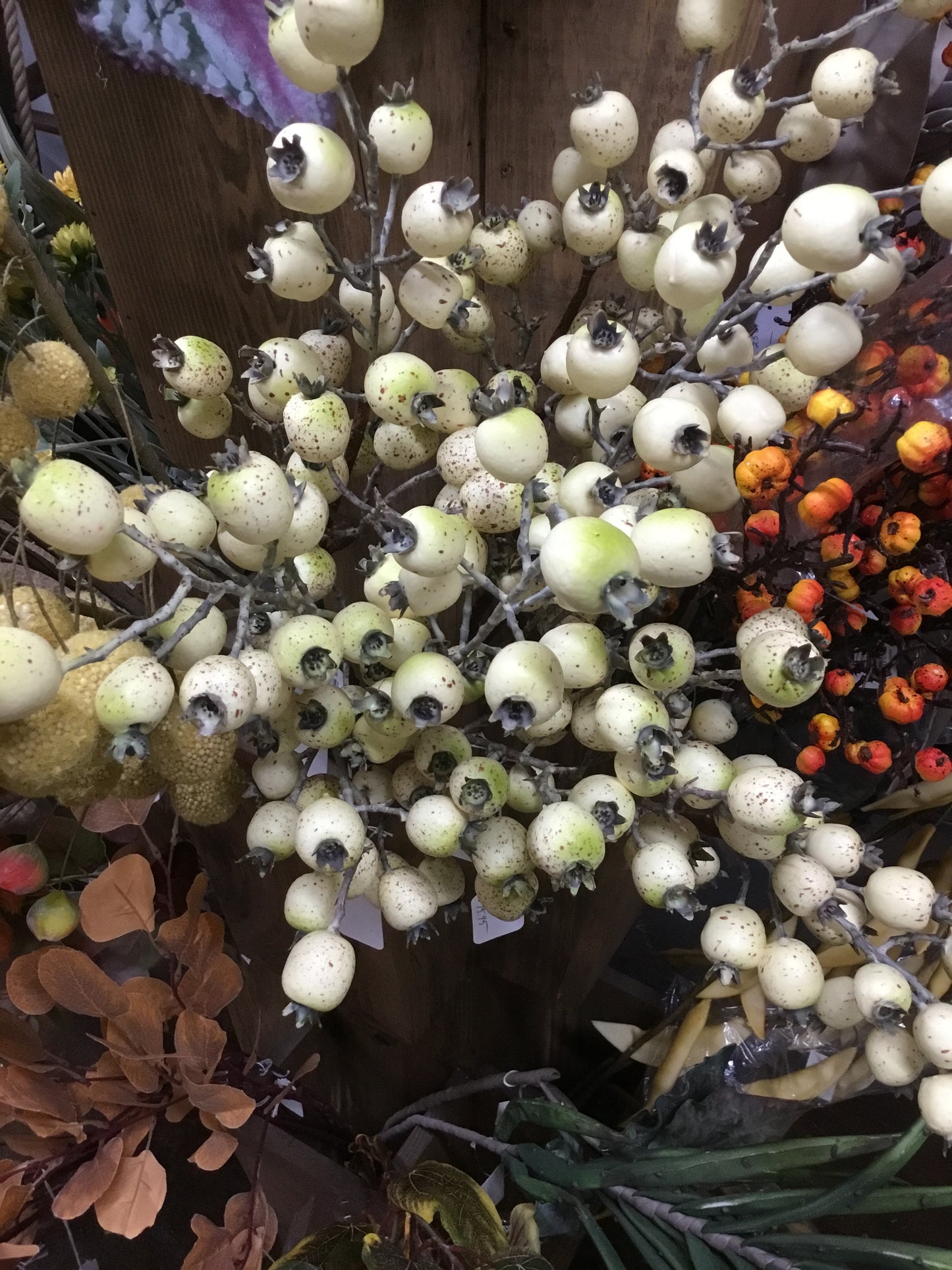 Cream Rosehip Stem 13963a