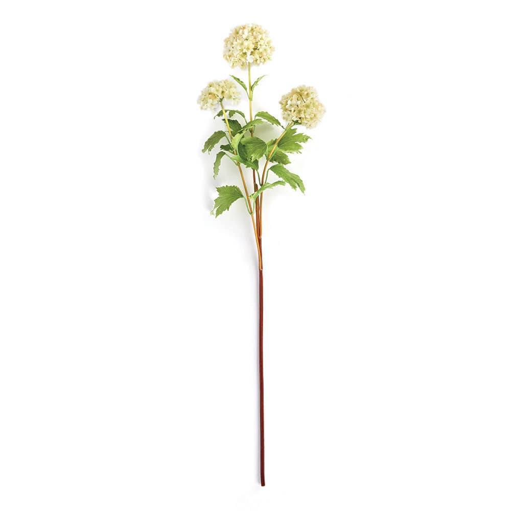 TP209 Viburnum Stem 30"
