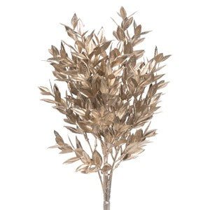 6 16" Ruscus Champange (25)