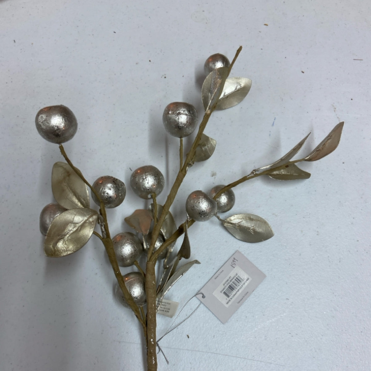 6 XF070061 Dynasty Pod Branch