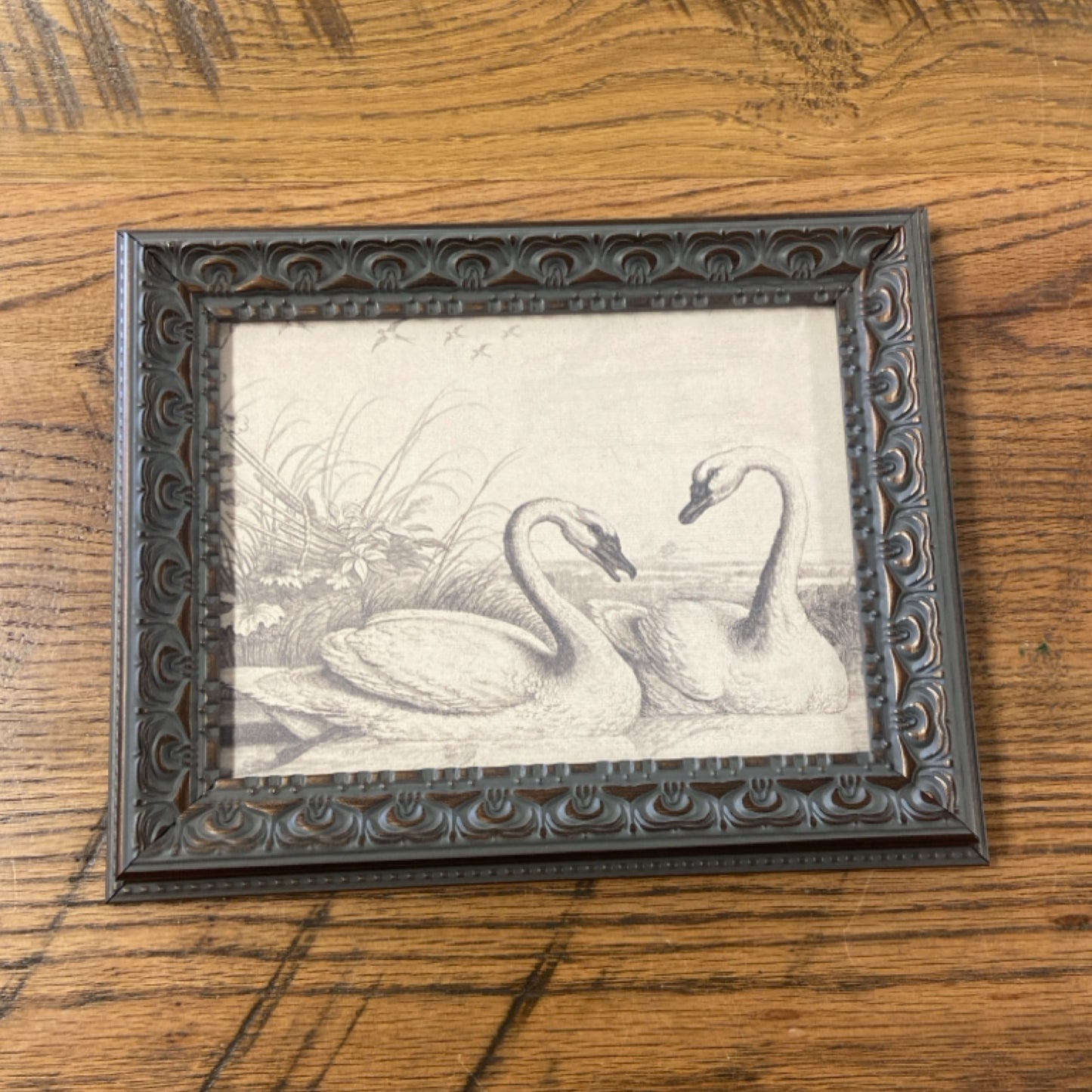 6 Two Swans