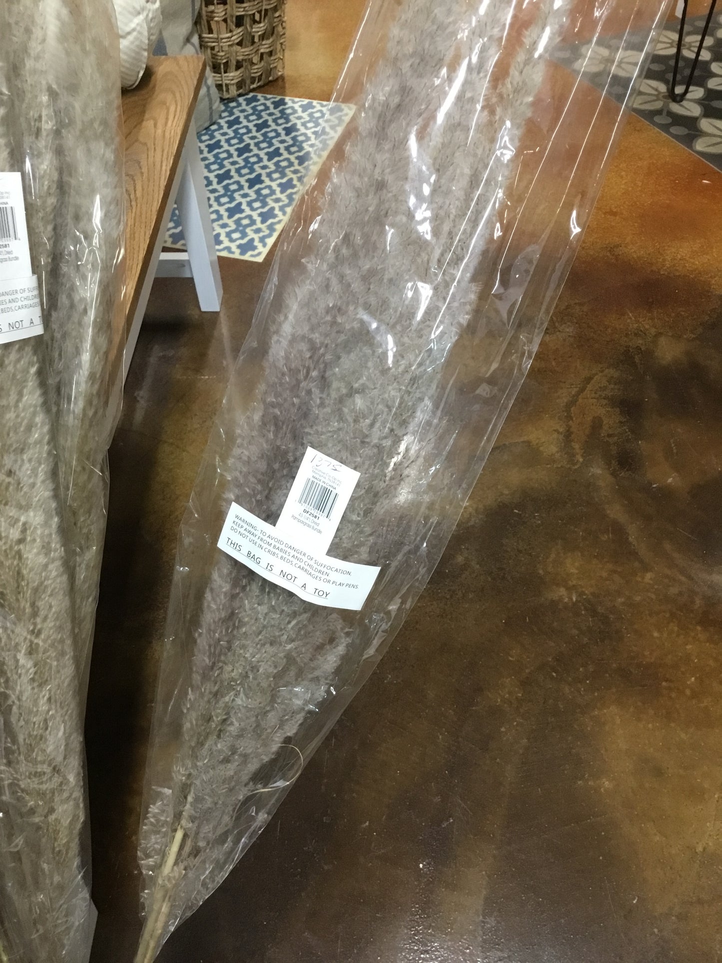 Df2581-CC Dried Pampas