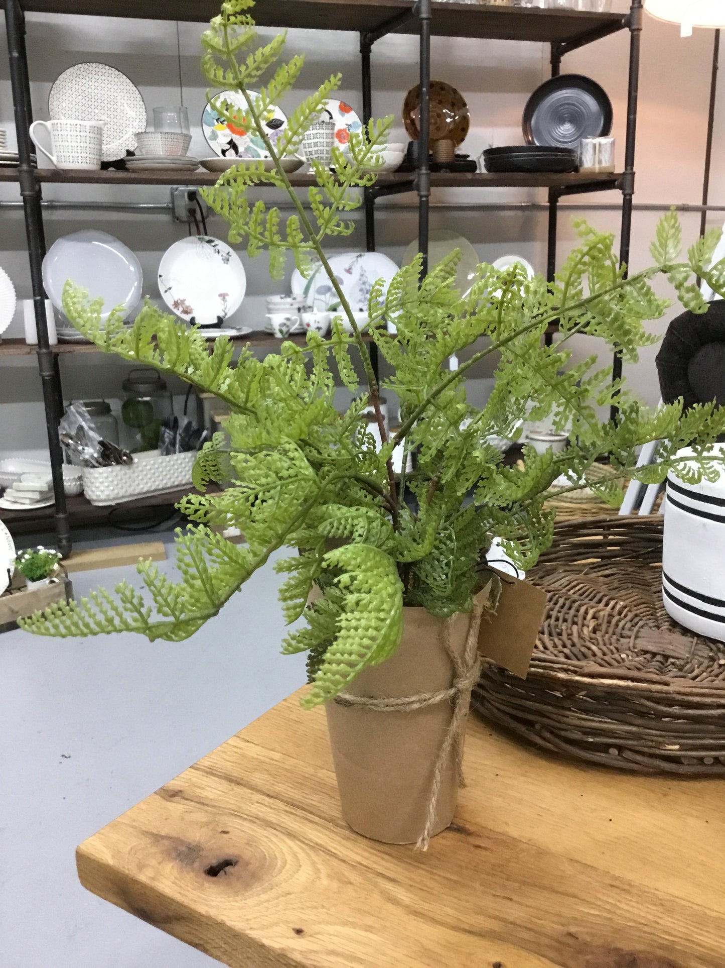 Df4704A-Cc Artificial Topiary In Paper Pot