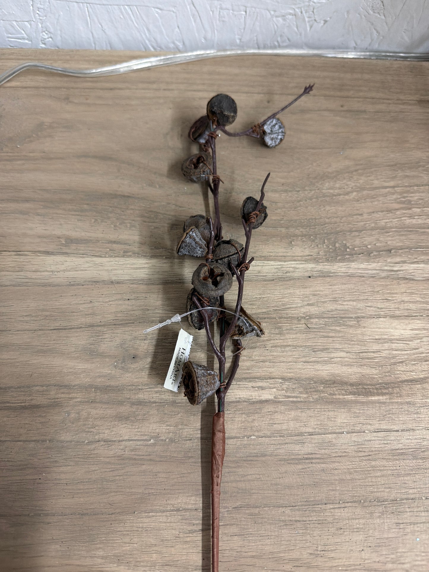 28380-Ha Eucalyptus Pod