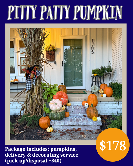 #1 Pitty Patty Pumpkin Porch Package