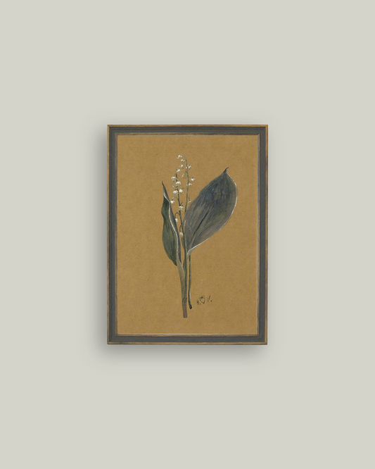 6 Lily on Brown