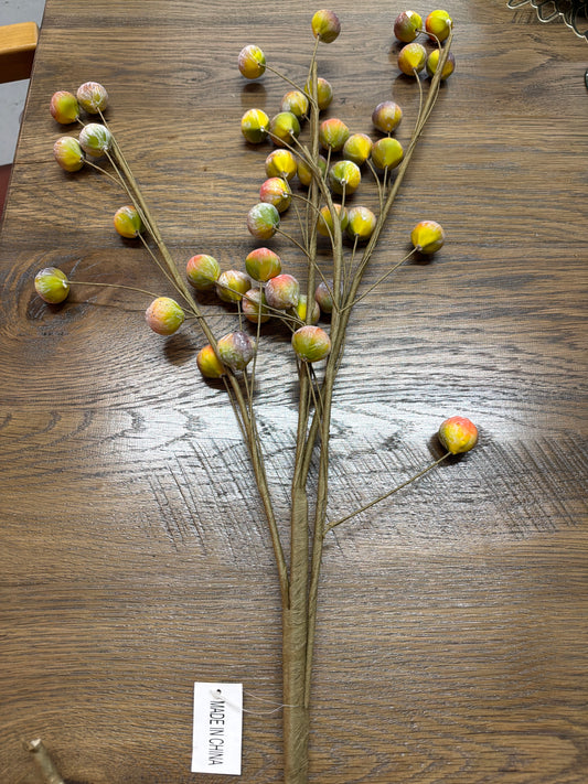 Csl2537 Botanica