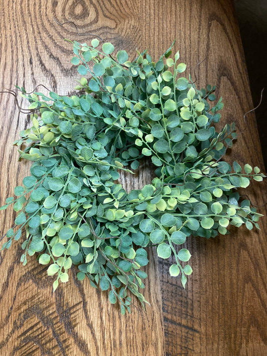 G1-8613  Button Fern C R 4”