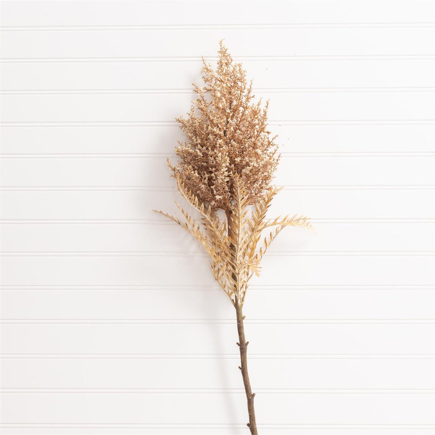 Dried Astilbe Stem